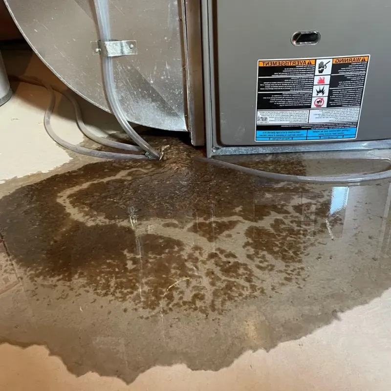 Pipe Burst and Leak Restoration in Archbald, PA