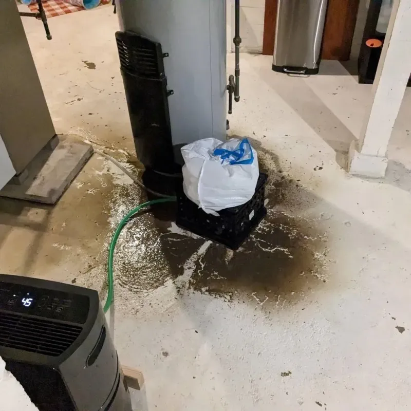 Sewage Backup Cleanup Service in Archbald, PA
